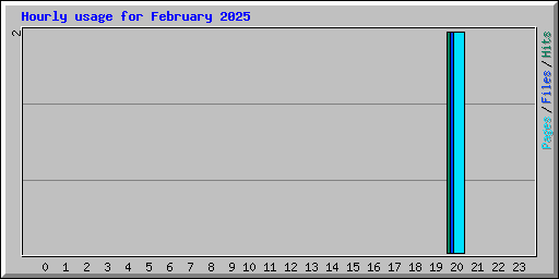 Hourly usage for February 2025