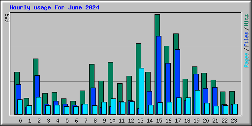 Hourly usage for June 2024