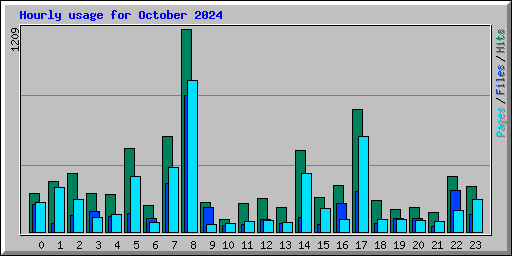 Hourly usage for October 2024