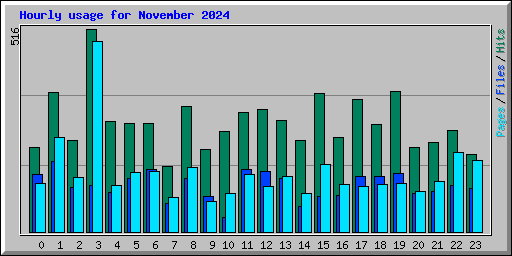 Hourly usage for November 2024