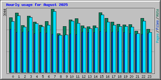 Hourly usage for August 2025