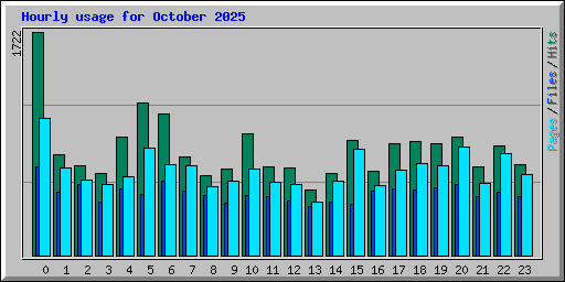 Hourly usage for October 2025