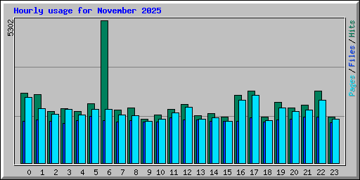 Hourly usage for November 2025