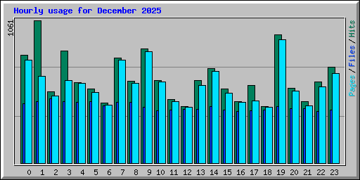 Hourly usage for December 2025