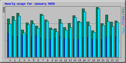 Hourly usage for January 2026