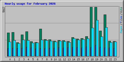 Hourly usage for February 2026