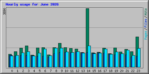 Hourly usage for June 2026