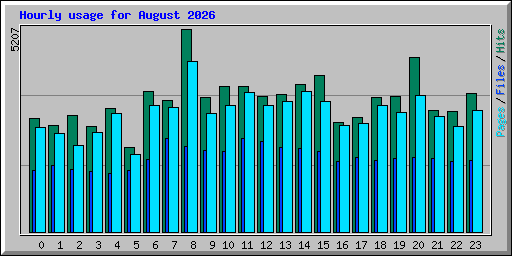 Hourly usage for August 2026