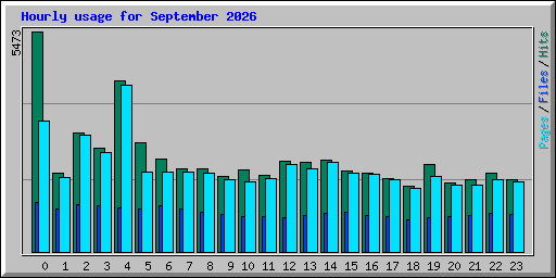 Hourly usage for September 2026
