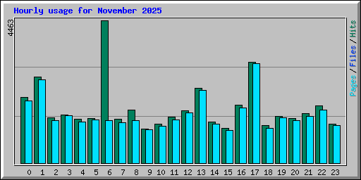 Hourly usage for November 2025