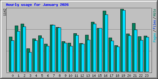 Hourly usage for January 2026